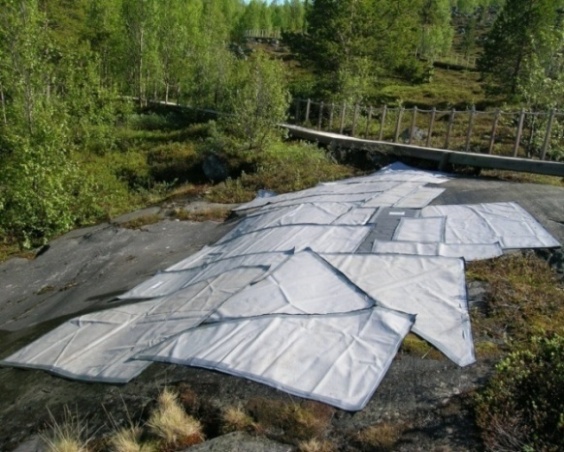 Sarnafil over, svartplast under (Foto: K. Tansem, VAM). Til sammen fikk vi spritet nesten alle åpne helleristningsfelt i Alta i sommer, minst en gang på hvert felt.