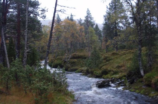 Nedgravd rørgata skal gå nedover lia på østsida av elva og vil krysse vegen til Slåttene og Åsen på kote 160.