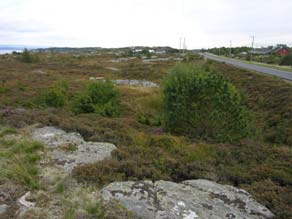 Delområde 2: Austmarka og Arseta/Medarseta Austmarka og Arseta utgjer den sentrale delen av Rongøy. I gjeldande kommuneplan er Austmarka avsett til LNF-område, og Arseta til LNF-ja.