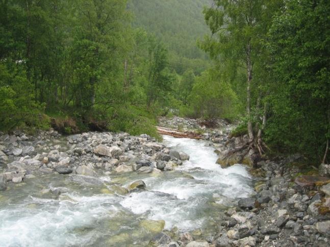 Hvis det blir meir nedbør, meir ustabilt vær, meir ekstremvær,,,,, Nye/forsterka utfordringar Korleis handtere vatnet?