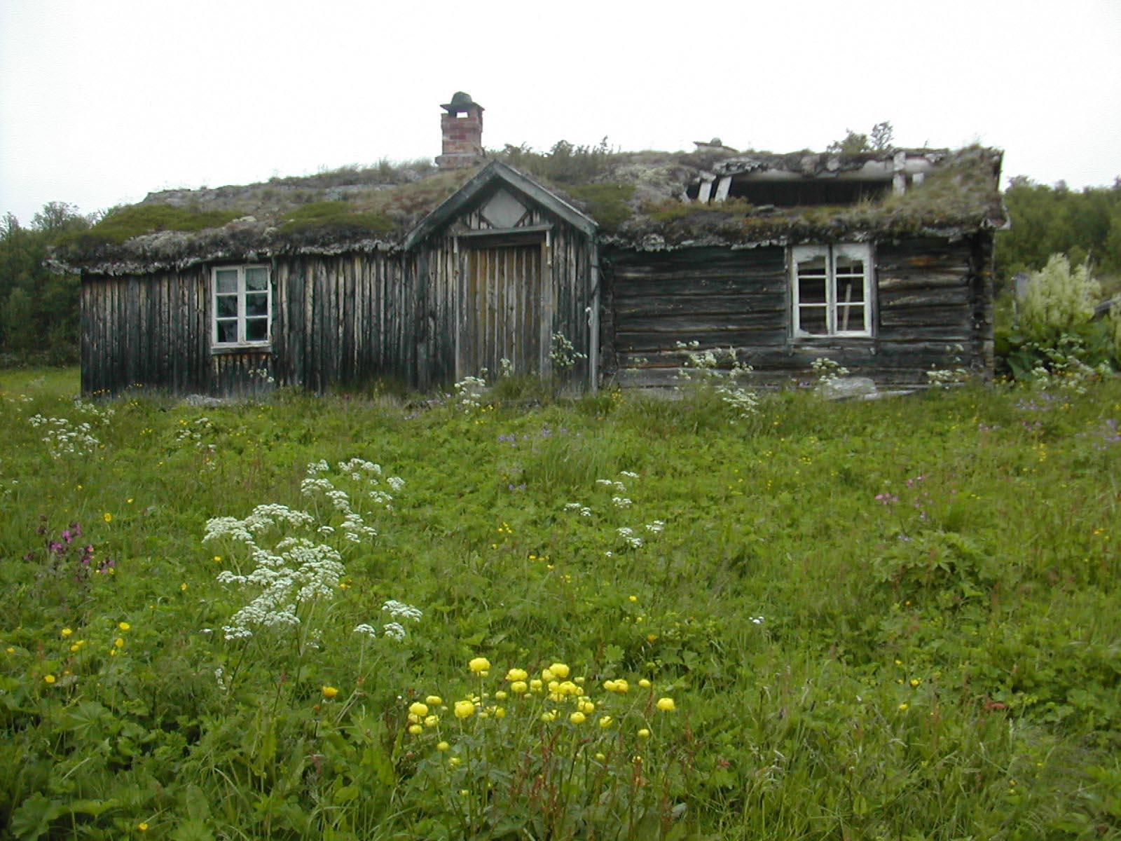 SETERVOLLER OG FJELLBEITER opphør av beite; bedre klima (sesonglengde) raskere gjengroing med store