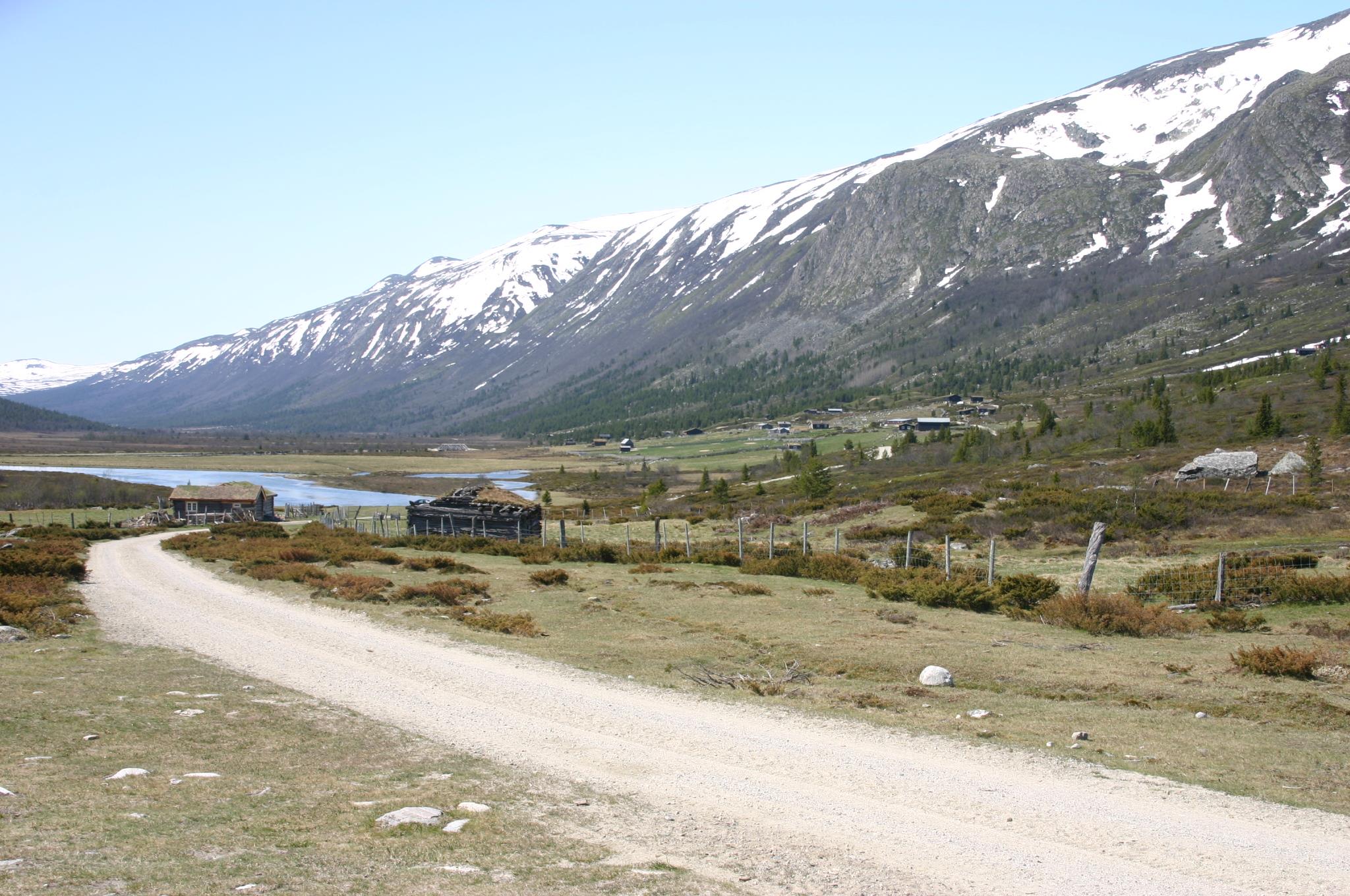 Takk til Egil Michaelsen, Anne og Reidar Elven, Randi Borgos og John Bjarne Jordal for lån av