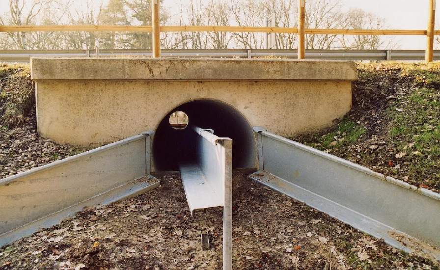 Amfibietunnel under vei. Foto: Christian Fischer CC BY SA 3.