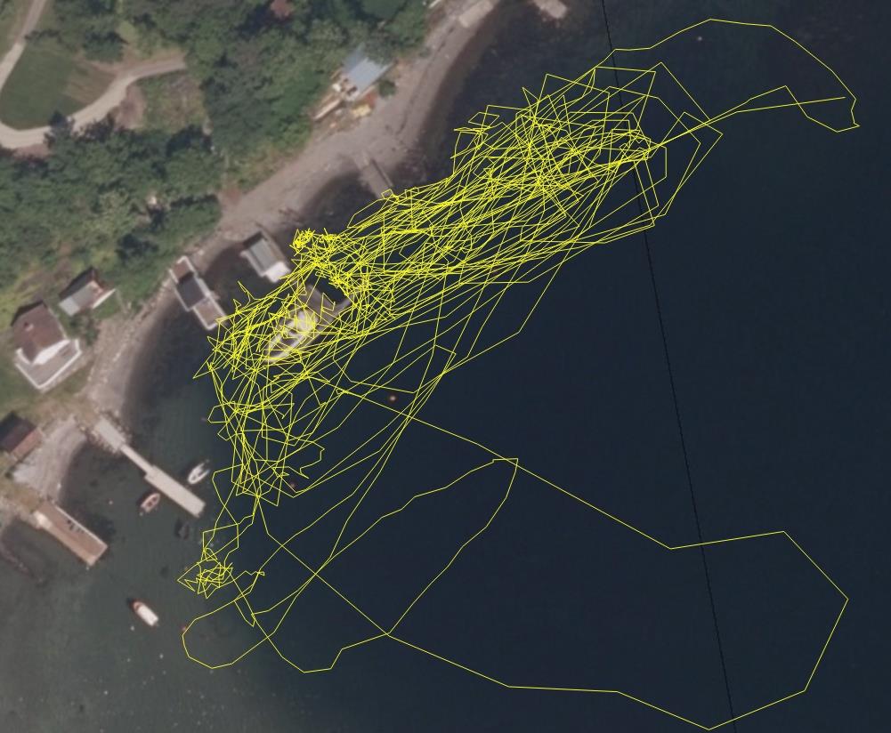 strandsonen stein, grus og sand med innblanding av skjellsand. Utover på noe dypere vann består løsmassene av finere materiale finsand, silt og leire.