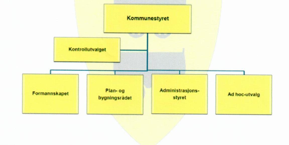 Politisk organisering i