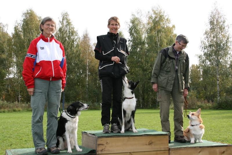 Corgien nå også som brukshund blant de store gutta. Benfro s Just Trotting Along/Anne Ingebrigtsen deltok i brukshundstevne Klasse D spor i NKKs brukhundprøver lørdag 17.