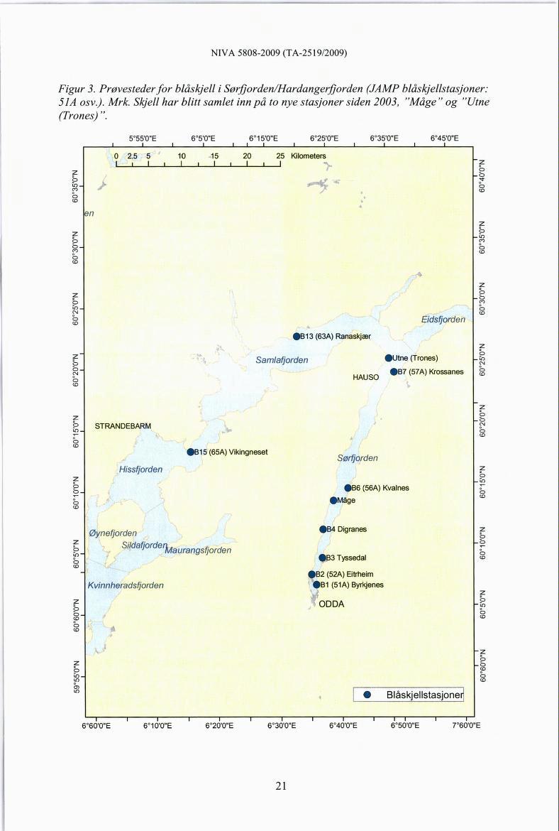Figur 3. Prøvestederfor blåskjell i Sørfjorden/Hardangerfjorden (JAMP blåskjellstasjoner: 51A osv.). Mrk. Skjell har blitt samlet innpå to nye stasjoner siden 2003, "Mage" og "Utne (Trones) ".