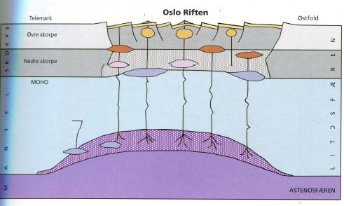 UH- midt i den Permiske Oslo riften Oslo-Riften Sedimentære og vulkanske bergarter Grunnfjell Magma Hvis riftingen