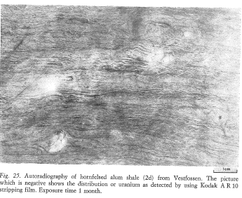 Skiferen inneholdt mye olje og gass, men det meste er nå presset ut. Laminasjonen viser at Det ikke har vært noen dyr som har gravet i slammet 1 cm Alunskifer fra Oslo-Feltet.