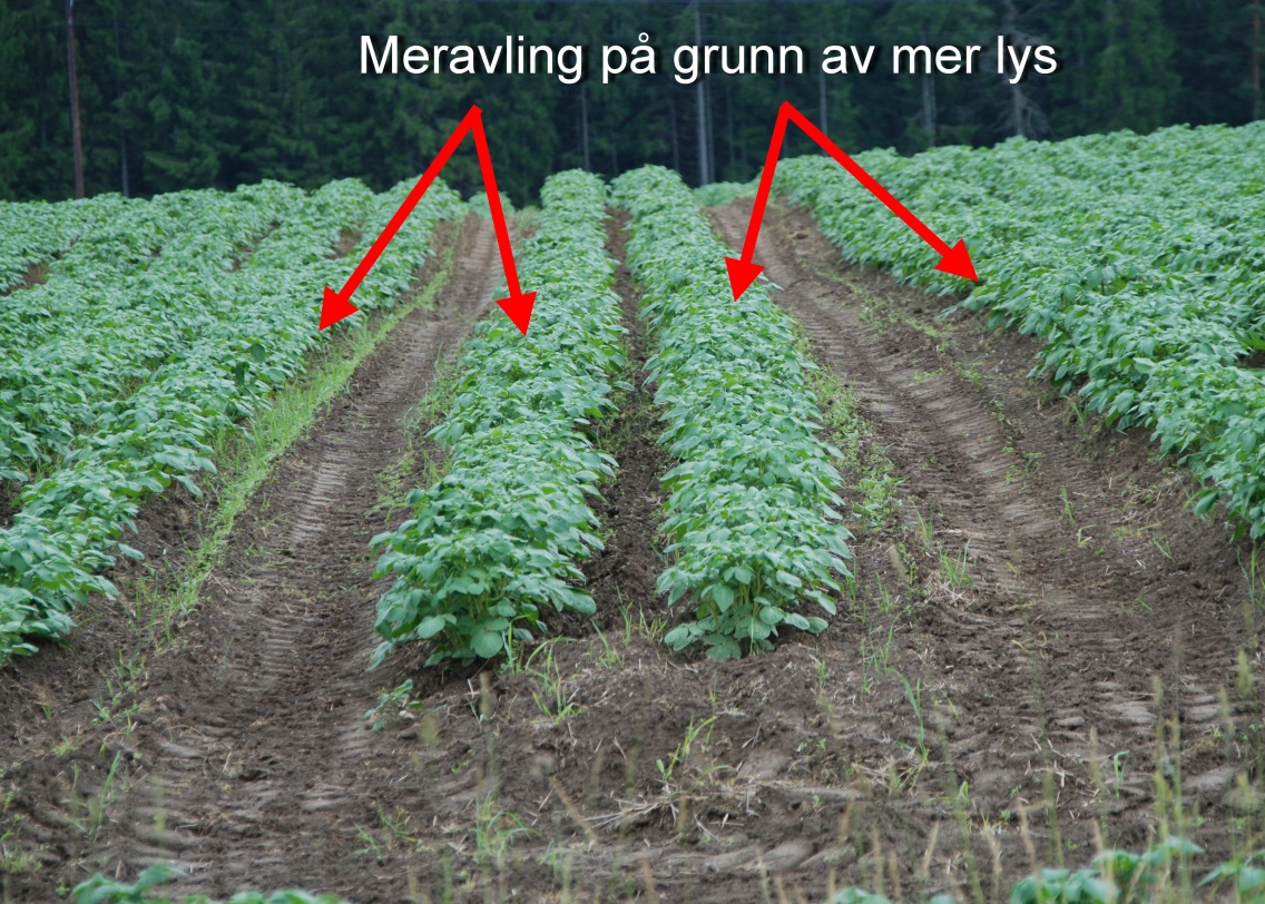 Sprøyteveg?