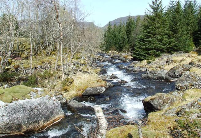 Figur 5 Bilder fra utløpselva, Vassdalselva. Tabell 5 Verdivurdering av ferskvannslokaliteter innenfor influensområdet.