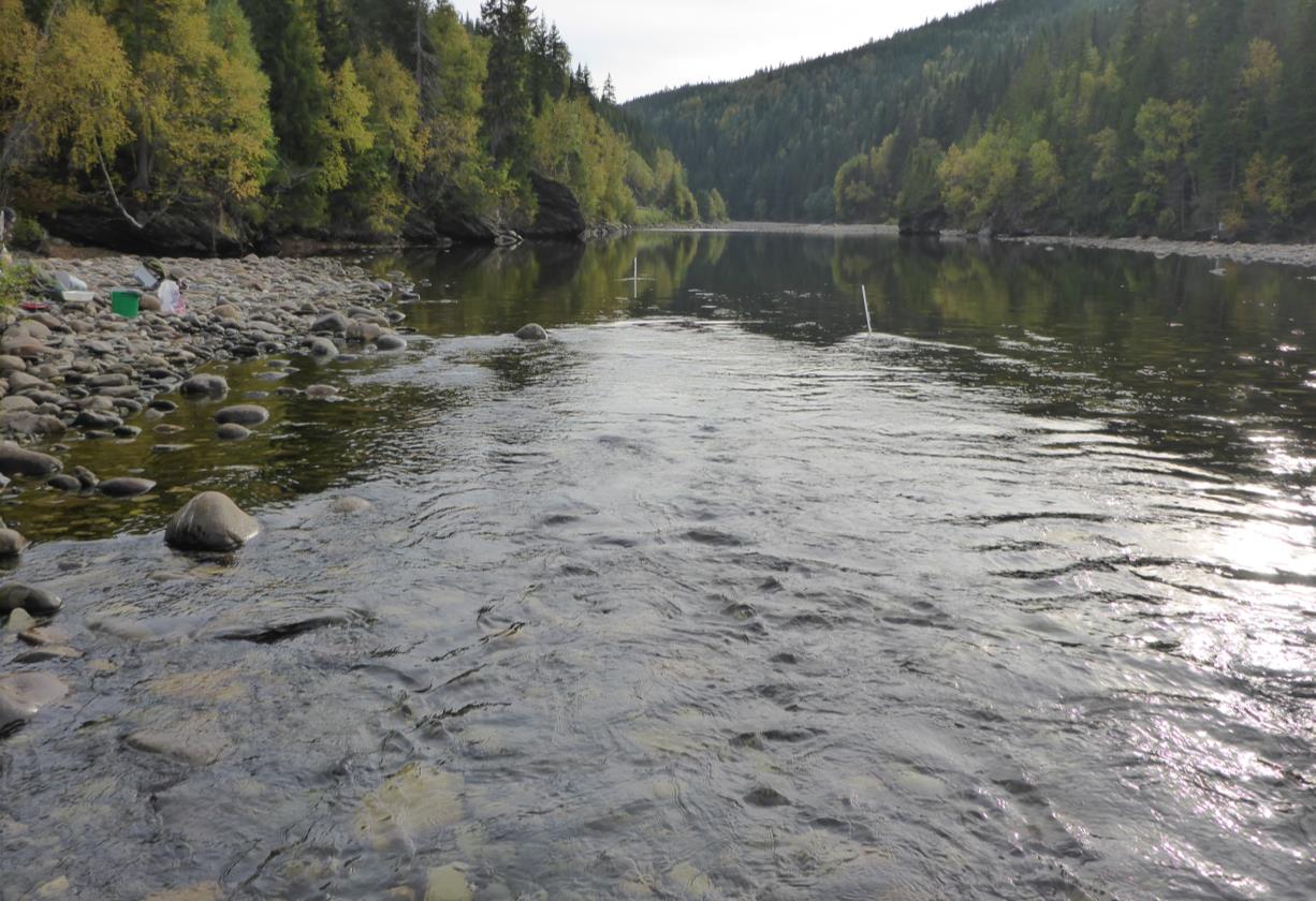 Bilde 3. Størst tetthet av lakseparr ble funnet ved Ramlo. Foto: Jan Gunnar Jensås. Bilde 4.