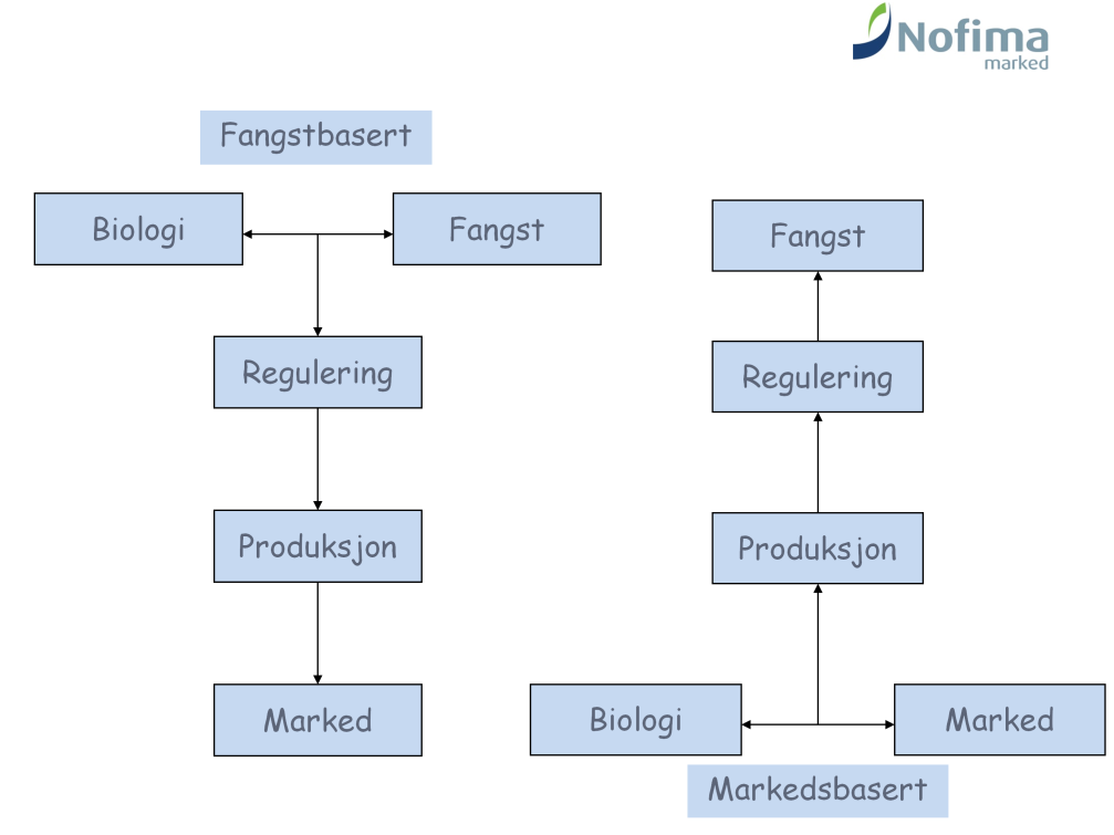 Figuren til venstre skisserer hvordan fangstreguleringene i dag blir utformet.