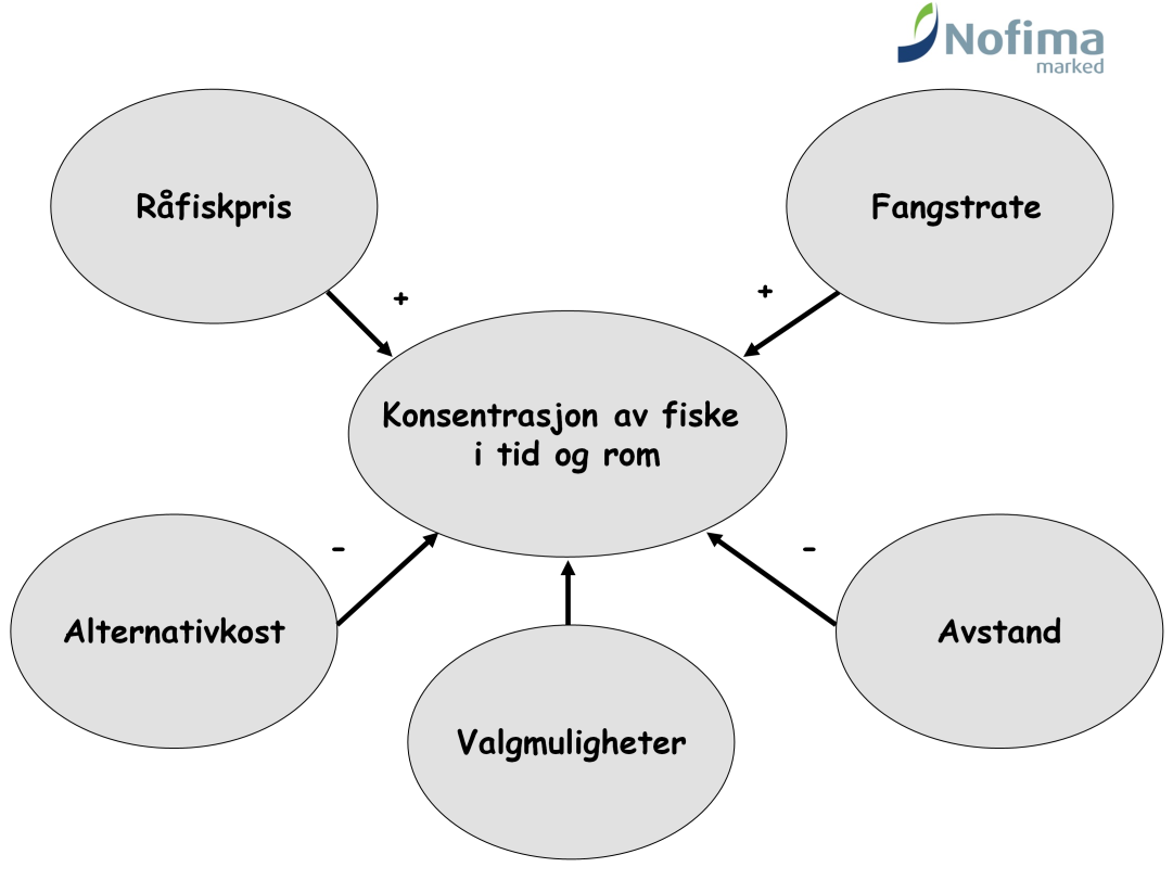 Det er kanskje en av de viktigste årsakene til at problemene ble så omfattende. Finanskrisen kom på et særdeles utgunstig tidspunkt og i et marked som sektoren var svært avhengig av.