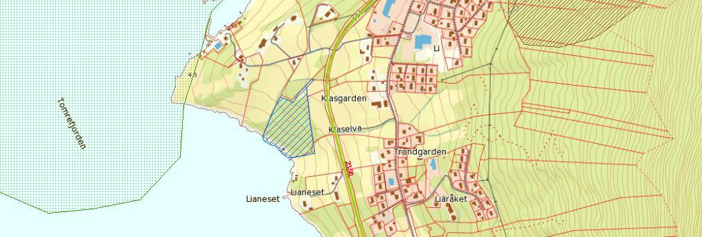 Forvaltningsplan Vestnes: Steinslandeigedomen 1. Områdebeskrivelse/status Gnr/ Bnr 62/10 63/4 FS-nummer Sikrings Sikret Areal Grunneier naturbase.