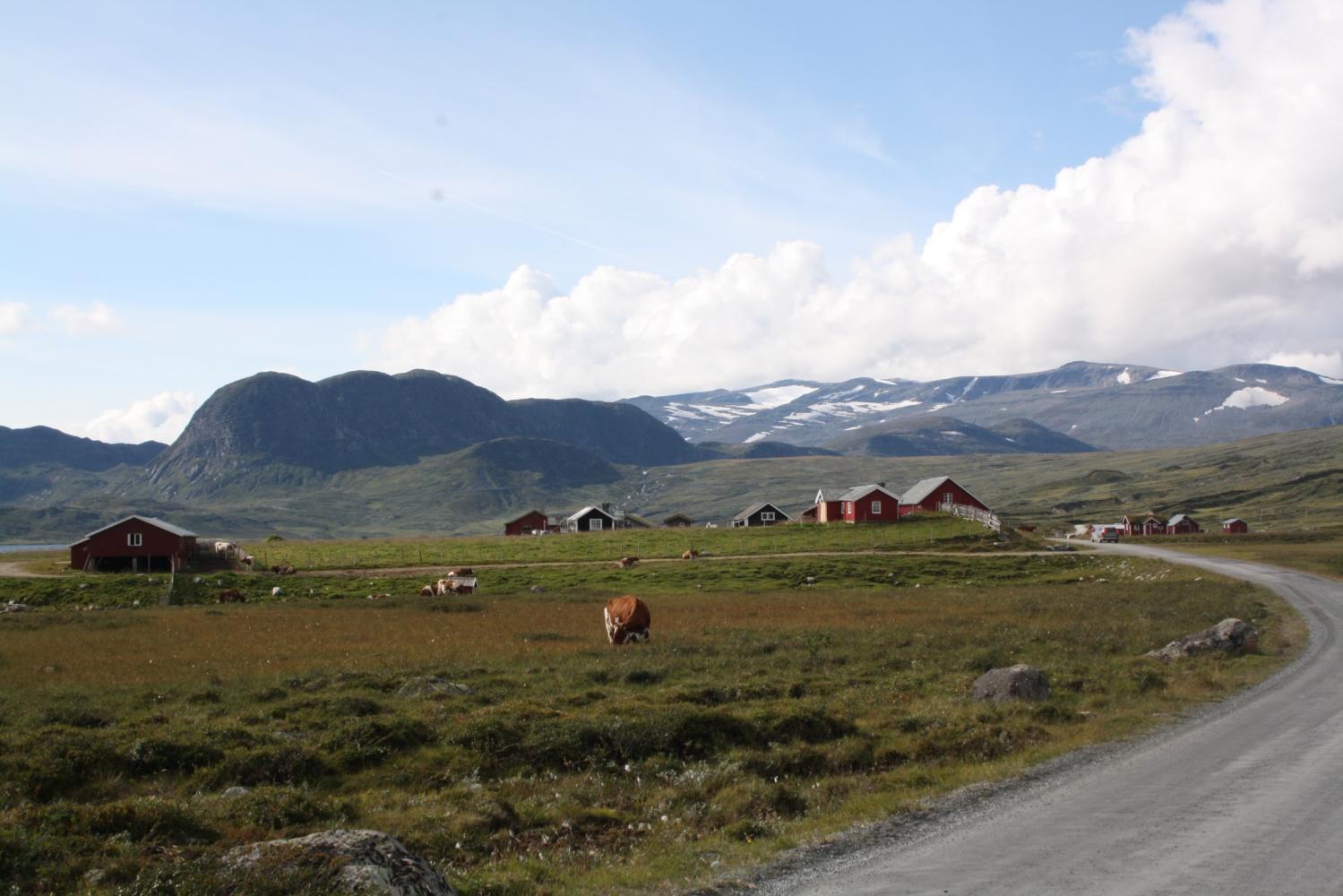 Om Norsk seterkultur Vår «oppdrag» er å ta vare på seterdrifta på kort og lang sikt.