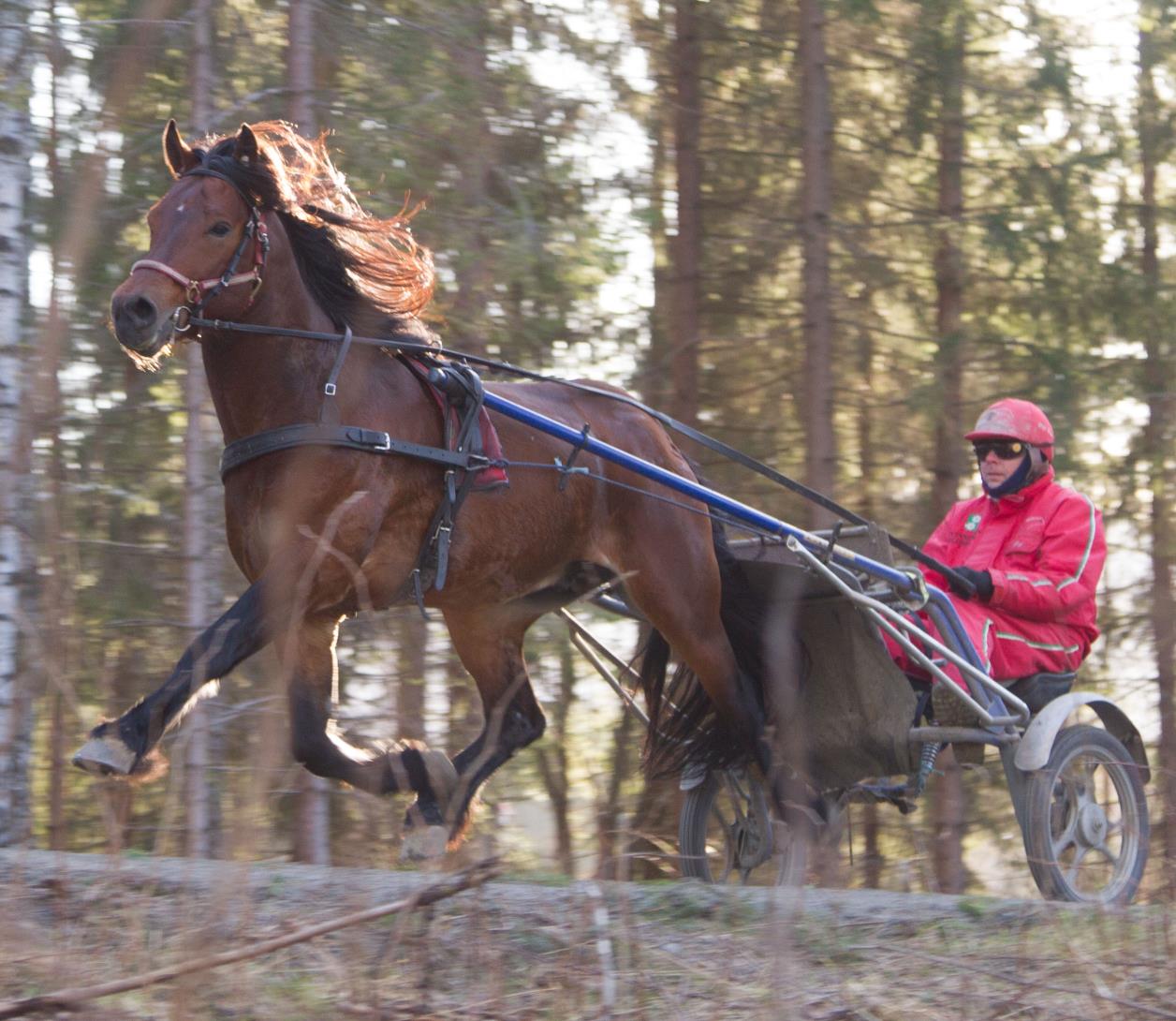 MODUM Lokalkjøring på Modum