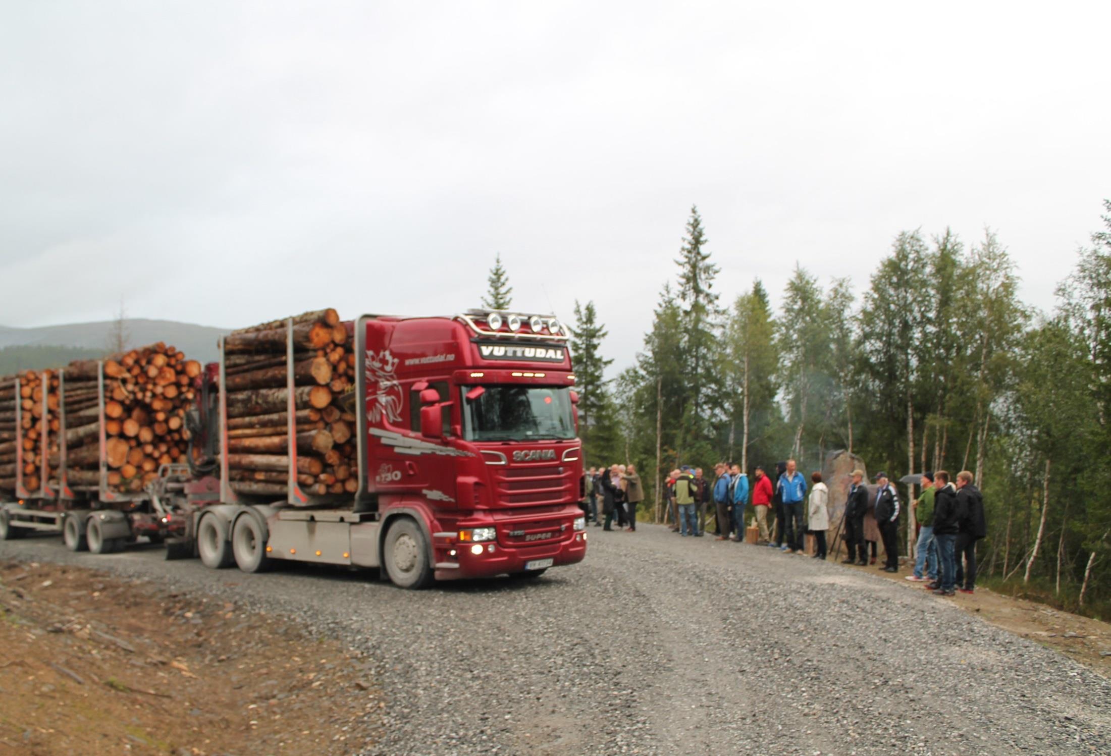 Skogeierveiledning