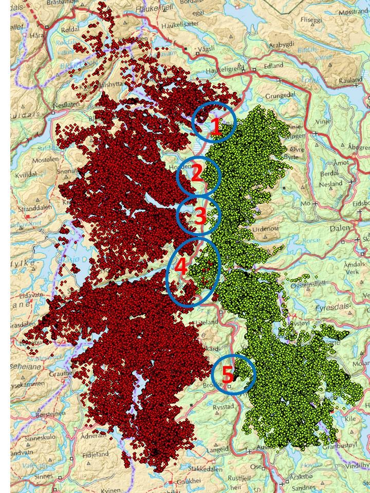 GPS-merkeprosjekt 2006-2010 Framskaffet viktig kunnskap om reinens arealbruk og avdekket: Behov for å prøve effekten av avbøtende tiltak Mangel på forvaltningsrettet kunnskap Behov for ny