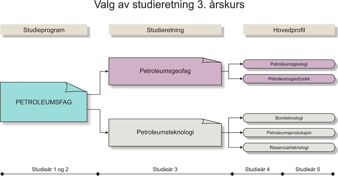 I tillegg til studieretningene ved studieprogrammet har også studentene i helt spesielle tilfeller adgang til å søke om opptak til studieretninger ved andre studieprogram/fakultet.