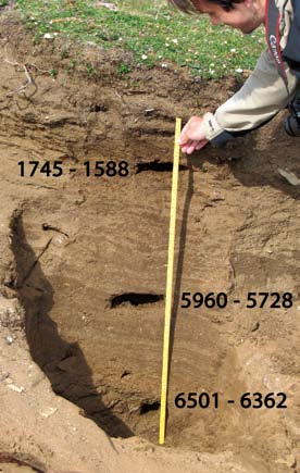 Terje Thun 4 Figur 4. Kalibrerte dateringsresultater, angitt som alder før nåtid, fra henholdsvis 30 35 cm (Tra-1014A), 65 70 cm (Tra-1013A) og 105 110 cm (Tra-1012A) under overflaten.