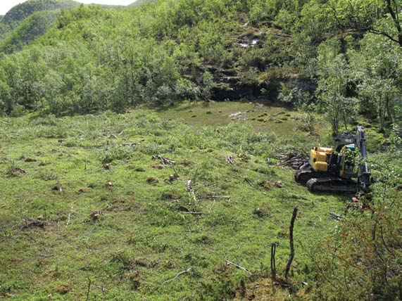 Hvordan står det til med myrsildrene i Norge? 2 Figur 2. Myra med myrsildre-forekomsten i Melsvik ved oppstart av arkeologisk feltarbeid sommeren 2012 (foto mot sør 26.06.2012). Foto: Tromsø museum.