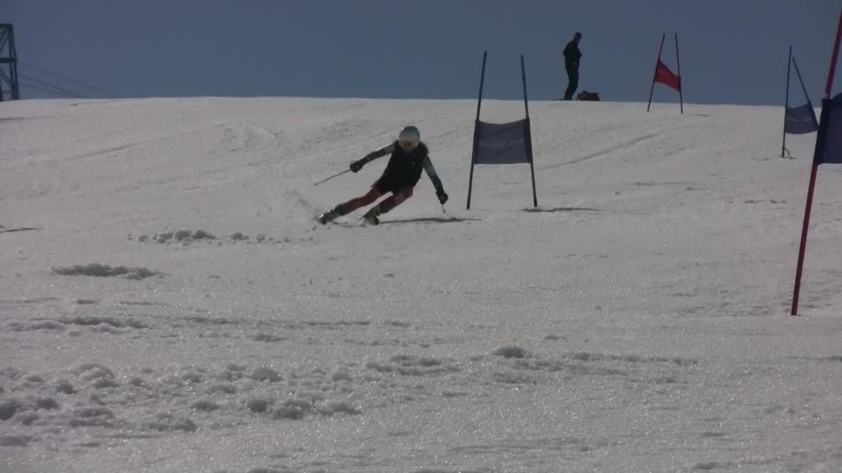 Grupper og trenere: PÅMELDINGSSKJEMA 2016 Agder og Rogaland Alpinkomite Påmelding til samling: Åpen skisamling på Fonna, 1-5-6.2016 ningsdag - t.o.m avreisedato, ID Funksjon NAVN Født KLUBB Samlingsdatoer Ant.