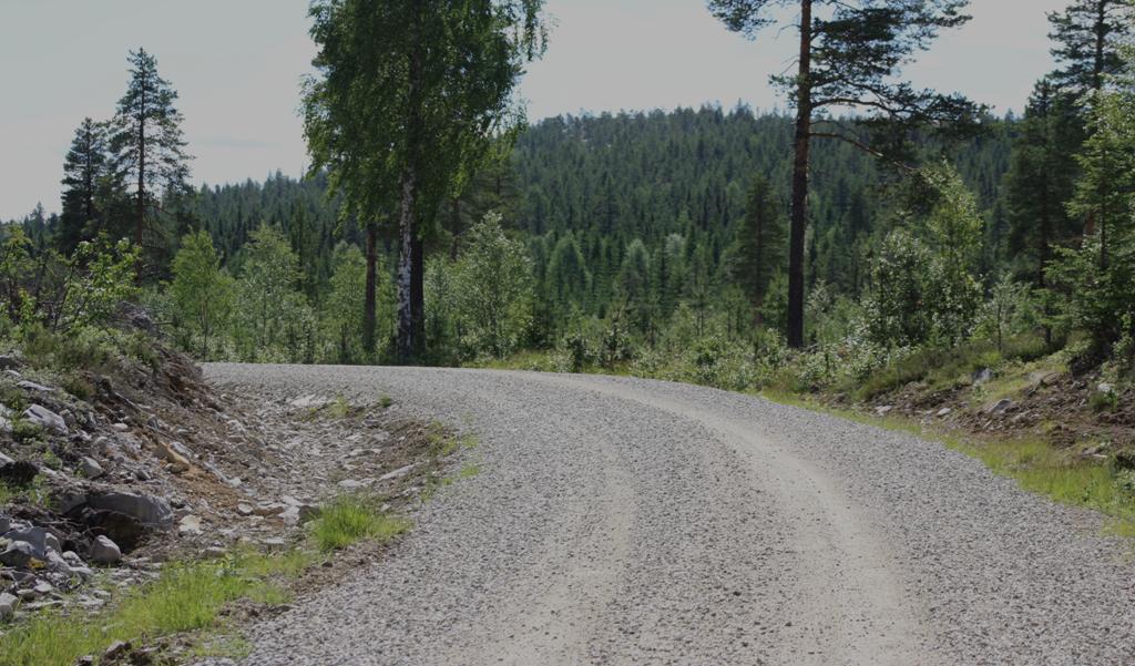 Meter Skogsveger Skogsbilvegene er en viktig forutsetning for et høyt aktivitetsnivå. Leveransepresisjon henger nøye sammen med god infrastruktur.