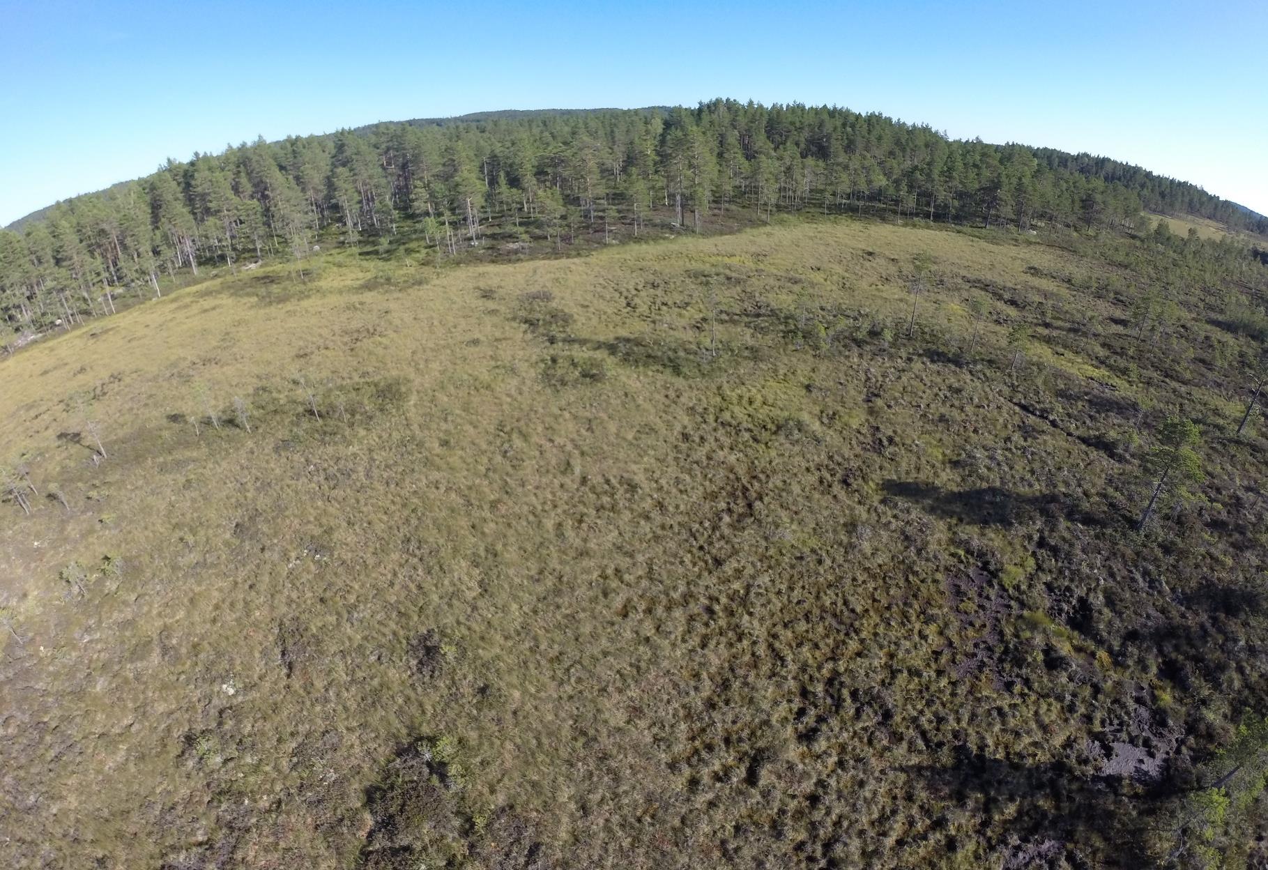 1212 Myrrestaurering 2015 Etablering av overvåkingsmetodikk for vegetasjon og grunnlagsanalyse før restaureringstiltak på Kaldvassmyra, Aurstadmåsan og