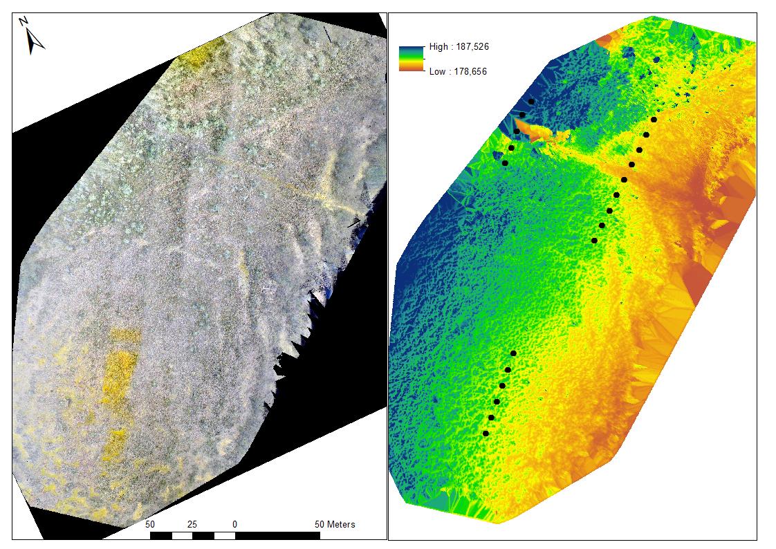 4.2.1 Dronebilder Flygningen over Aurstadmåsan ble delt i to separate områder, ett nordlig (0,0448 km 2, Figur 18) og ett sørlig (0,0538 km 2, Figur 19), som dekket vegetasjonstransektene.