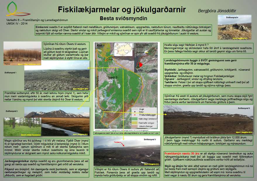 Fjölbreytileiki í tillögugerð sýnir mikilvægi og þá möguleika sem kerfisbundin greiningarvinna getur haft í för með sér þar sem þróunarmöguleikar svæða eru skoðaðir útfrá hagnýtum forsendum.