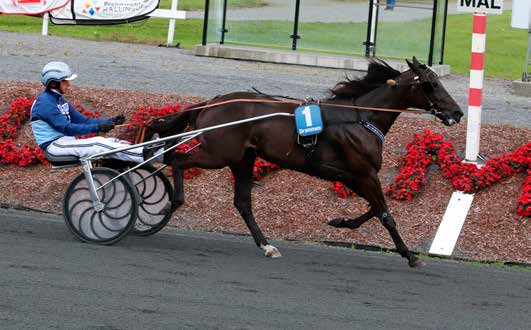 Raskeste hester rammen: Varmblodshester. Winmecredit 1.12,2 den 30.8.2014.