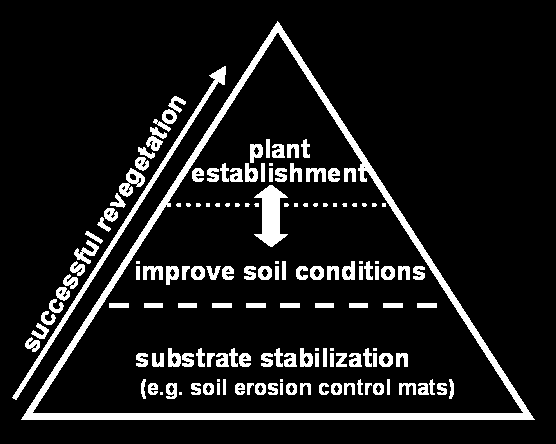 In many circumstances revegetation efforts using native plant material are combined with traditional soil erosion control mats.