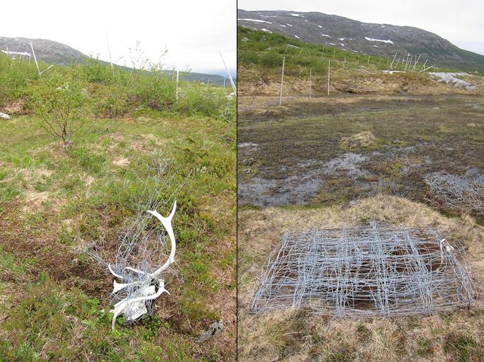 Ved Fagerjordhompen i nærheten av Klavesmarka står et reingjerde etter de forrige driverne av Jillen-Njaarkes nordlige siida Dersom dette reingjerdet har gått ut av bruk, bør gjerdeanlegget ryddes