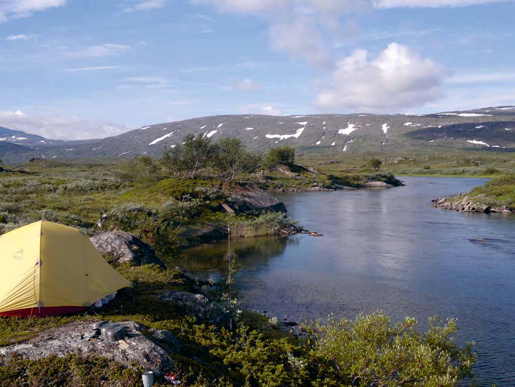 NASJONALPARKENE PÅ HELGELAND Helgeland har 3 nasjonalparker; Saltfjellet Svartisen nasjonalpark, Lomsdal Visten nasjonalpark og Børgefjell nasjonalpark.