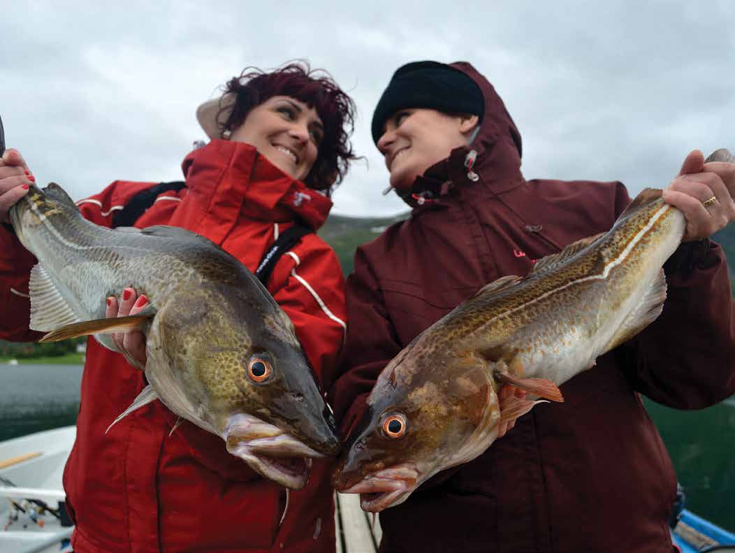 FISKE PÅ HELGELAND For de uinnvidde er kanskje Helgeland mest kjent for sitt saltvannsfiske.