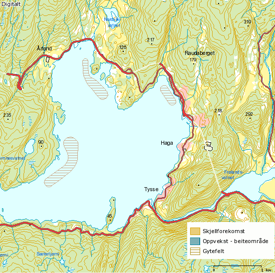 VIKTIGE MARINE OMRÅDE Det er avmerka fleire gyteområde for fisk sannsynlegvis torsk i indre delar av Samnangerfjorden der eit område ligg utanfor Grunnavågen (figur 20).