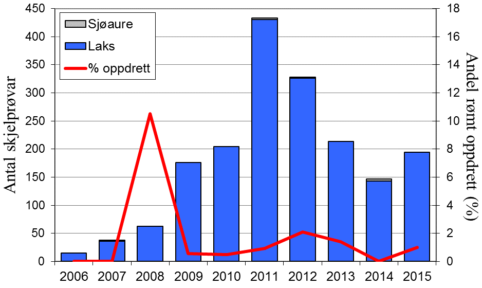 FANGST OG SKJELPRØVAR I BJERKREIMSELVA Gjennomsnittleg årsfangst i perioden 1976-2015 var 3322 laks (snittvekt 2,2 kg) og 171 sjøaurar (snittvekt 0,8 kg).