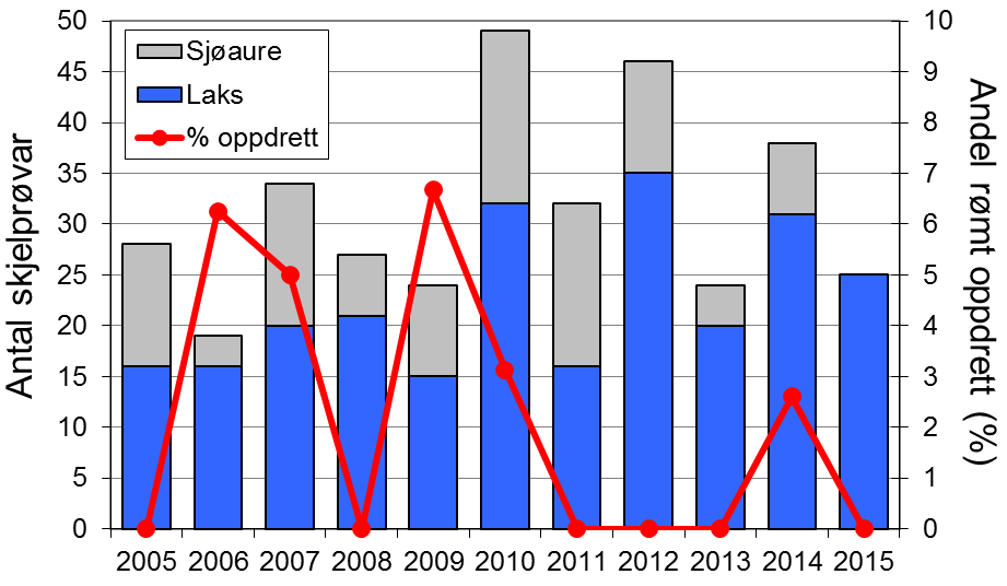 FANGST OG SKJELPRØVAR I LYSEELVA Gjennomsnittleg årsfangst av laks i perioden 1995-2015 var 21 laks (snittvekt 3,6 kg). Fangsten av laks har stige jamt i heile perioden 1999-2015 (figur 1, stolpar).