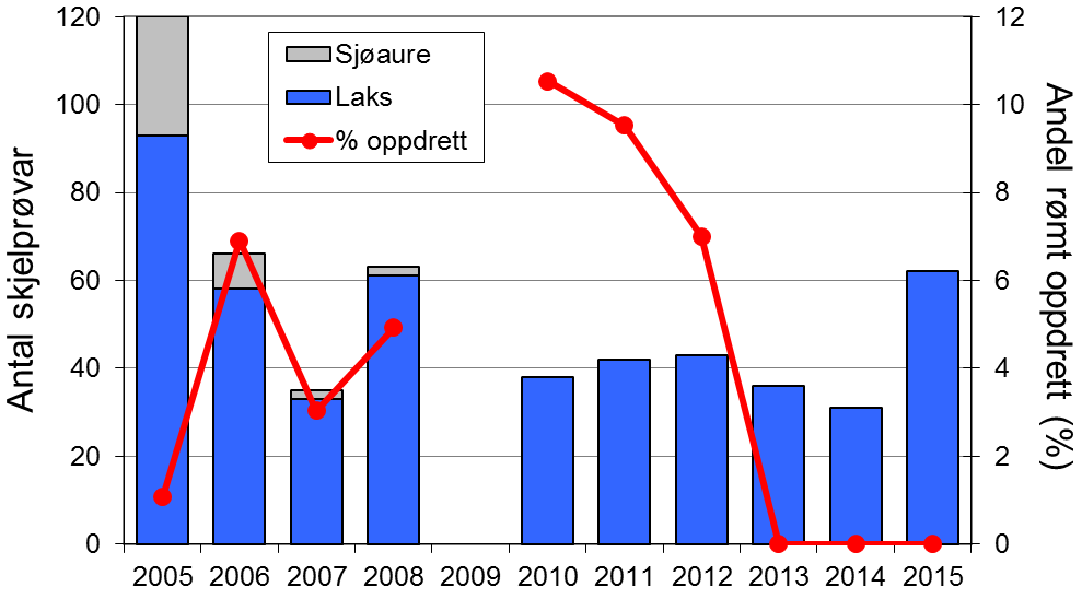 FANGST OG SKJELPRØVAR I FRAFJORDELVA Gjennomsnittleg årsfangst av laks i perioden 1979-2014 var 127 (snittvekt 3,1 kg).