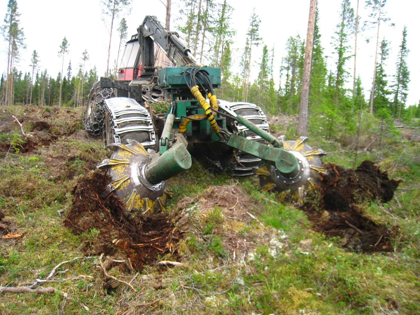 Markberedning -hjelper de unge plantene Markberedning er i de fleste tilfeller avgjørende for en vellykket foryngelse, uansett om man planter eller satser på naturlig foryngelse.