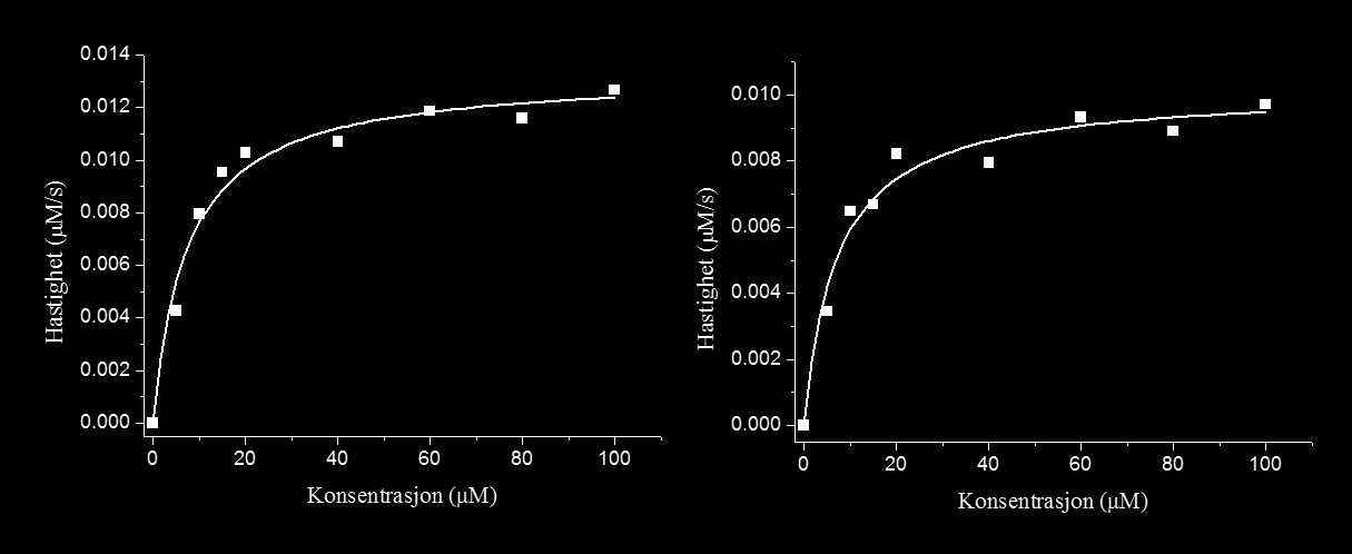 4. Resultater Figur 44. Michaelis-Menten plott fra hydrolyse for ChiA W275A. Hydrolyseringshastigheten er plottet mot substratkonsentrasjonen.