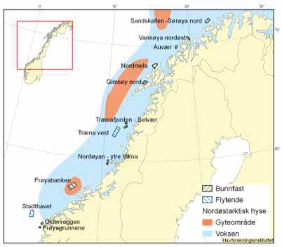 blir det beregnet hvor mye hyse som spises av torsk, og dette tas det hensyn til i bestandsberegningene. Figur 4.6.