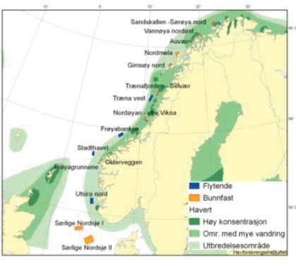 Havertene er flokkdyr som danner kolonier, særlig i forbindelse med ungekasting (fødsel), parring og hårfelling som skjer i februar til april.