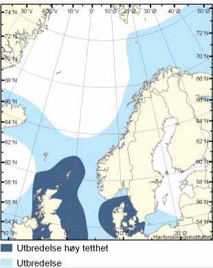 Vanlig nise holder helst til i tempererte farvann i kystnære strøk, men den finnes også sørover langs vestkysten av Afrika, sør til kysten av Senegal.