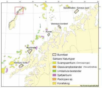 Figur 4.19. Registrerte forekomster av koraller, identifiserte korallområder og marine verneområder for koraller i Nord-Troms og Vest-Finnmark (MVO = "MPA").