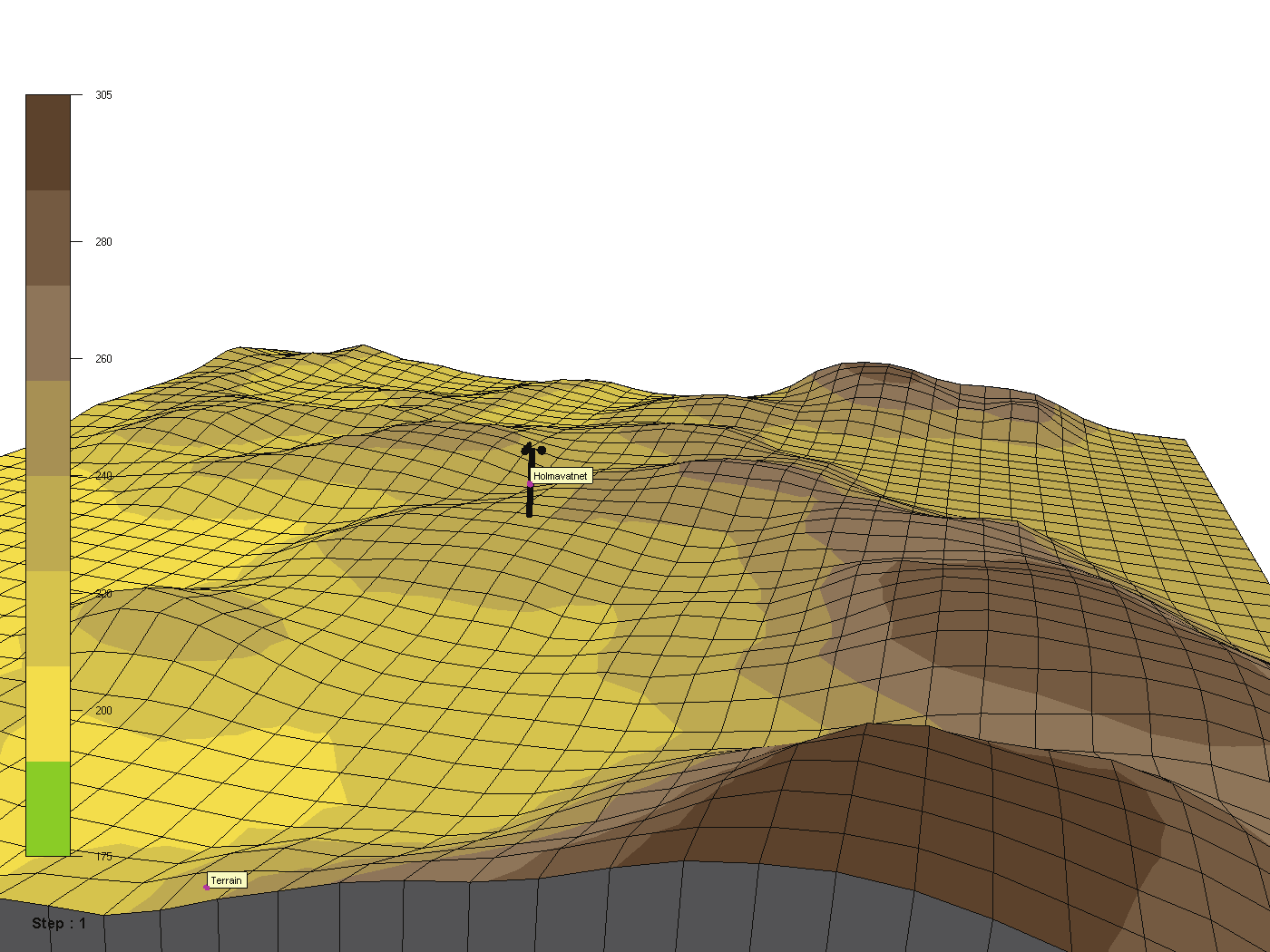 Figur 12- Detaljert terreng ved Geitvassfjellet.