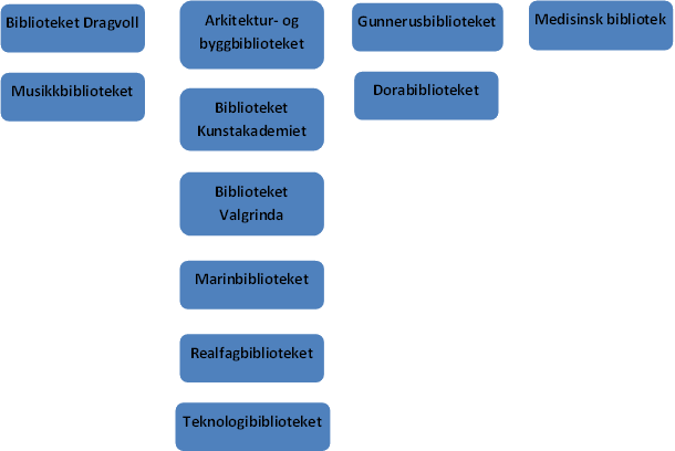 NTNU UBs 11 fysiske bibliotek, som er plassert ved NTNUs ulike campus og i Arkivsenter DORA, ble organisert i fire publikumsseksjoner.