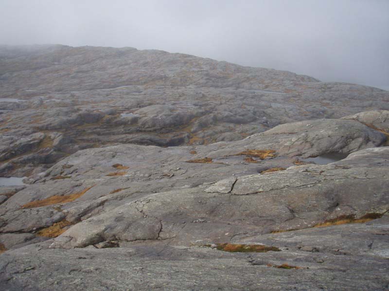 Fjellområdet ved Nordvikvatnet Fjellområdet