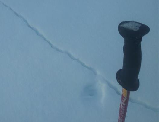 TEGN PÅ USTABIL SNØ Ferske skred